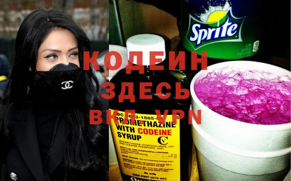 стаф Вязьма