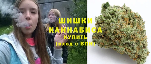 шишки Вяземский